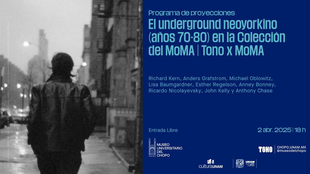 Ricardo Nicolayevsky en TONO Festival