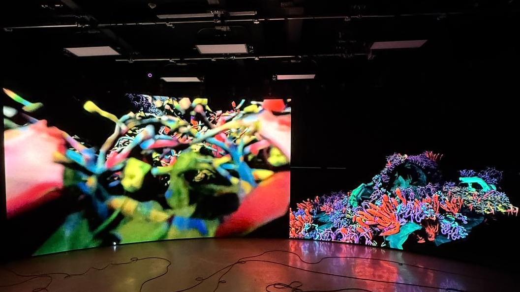 >Lauren Moffat in Dublin and Bari | International exhibitions