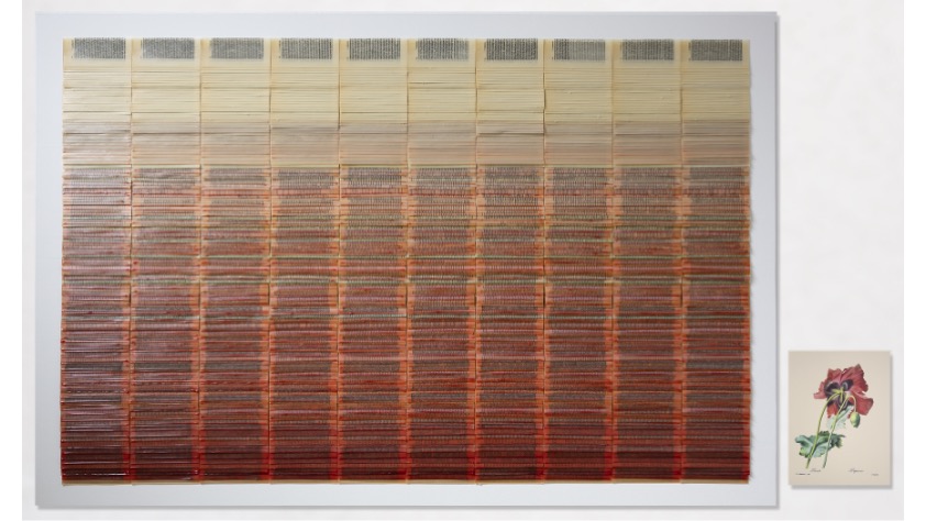 "Sueños ligeros", 2025