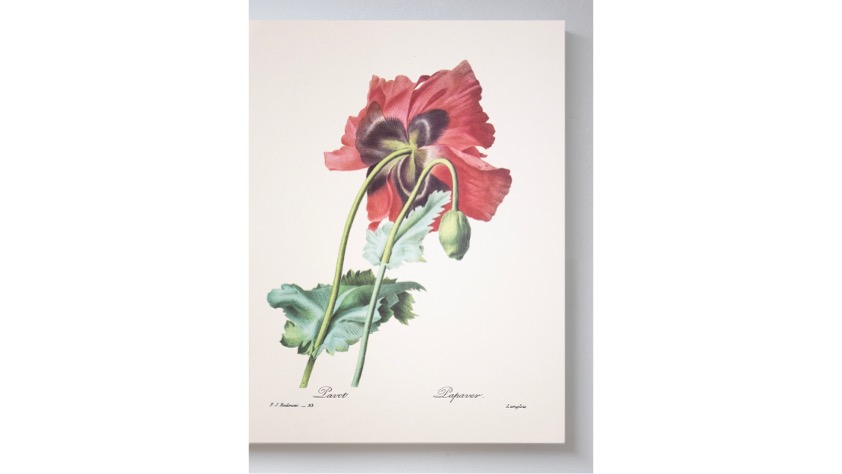 "Sueños ligeros", 2025