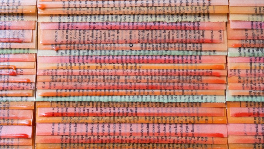 Rocío Garriga, Senyera d'Arts Visuals Award 2025